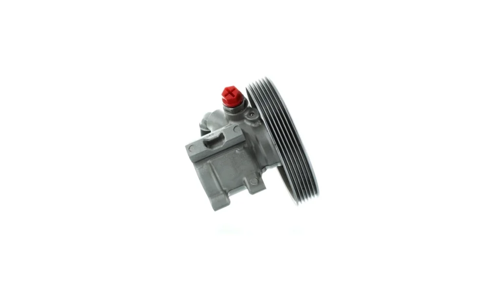 Servopumpe – 53924 – (GKN) v:6293568