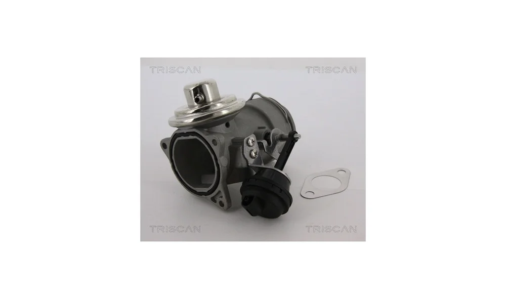 EGR-ventil - 8813 29040 - (Triscan) v:1580696