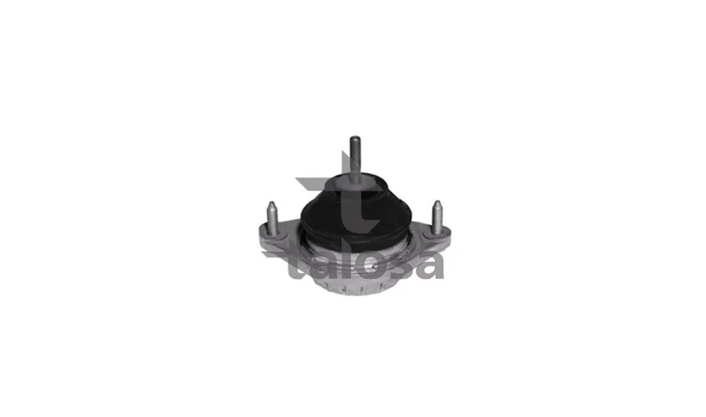 Motorfeste - 61-06585 - (Talosa) v:4645580