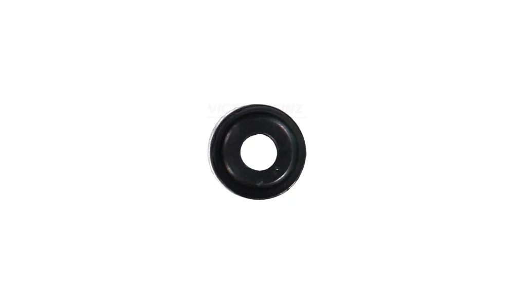 Pakning, Ventilstamme 70-25169-00 (Reinz v:5484660