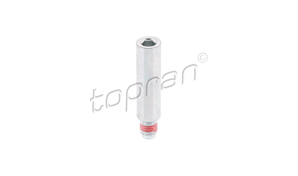 Skrue, bremsecaliper 110 713 (Topran) v:2735964 Skrue, bremsecaliper 110 713 (Topran) v:2735964